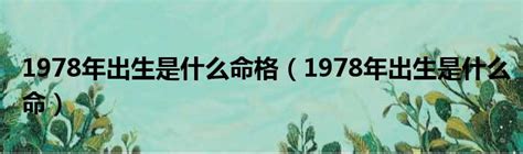 1978 屬|【1978年出生是什麼命 命好嗎】1978年出生是什麼命？命運好嗎？